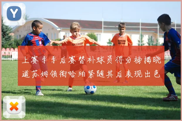 上赛季季后赛替补球员得分榜揭晓道苏姆领衔哈珀紧随其后表现出色
